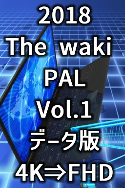 2018 The Waki Pal Vol.1 f[^