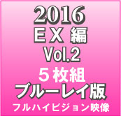 2016 EXVol.2iu[CŁj