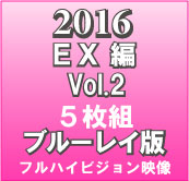2016 EXVol.2iu[CŁj