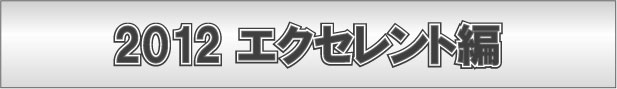ワキフェチご用達2012エクセレント編